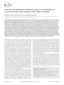 Diversity and Expression of RubisCO Genes in a Perennially Ice