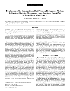 Development of Co-Dominant Amplified Polymorphic Sequence