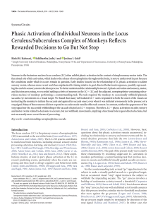 Phasic Activation of Individual Neurons in the Locus Ceruleus