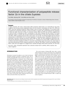 Functional characterization of polypeptide release factor 1b in the