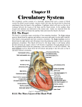 Circulatory System - Dr. Salah A. Martin