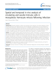 Spatial and temporal in vivo analysis of circulating
