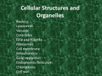 Cellular Structures and Organelles