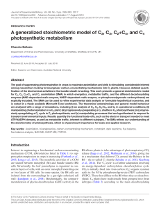 A generalized stoichiometric model of C3, C2, C2