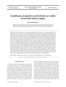 Caribbean acroporid coral hybrids are viable across life history stages