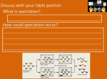 Discuss with your table partner: What is speciation? How could
