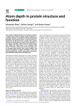 Atom depth in protein structure and function