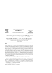 Leaf orientation, photorespiration and xanthophyll cycle protect