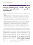 Time and frequency domain analysis of heart rate variability in cattle