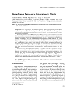 Superfluous Transgene Integration in Plants