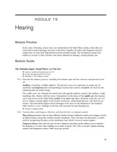 Hearing: Module 19 Overview