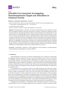 Zebrafish Get Connected: Investigating Neurotransmission Targets