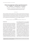 Adult neurogenesis without germinal layers