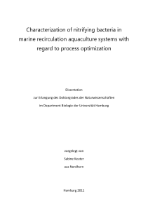 Characterization of nitrifying bacteria in marine recirculation