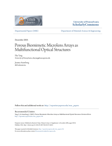 Porous Biomimetic Microlens Arrays as Multifunctional Optical