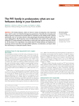 The Pif1 family in prokaryotes: what are our helicases doing in your