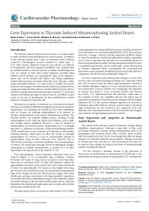 Gene Expression in Thyroxin-Induced Metamorphosing Axolotl Hearts