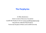 The Porphyrias