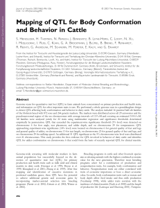 Mapping of QTL for body conformation and behavior in cattle