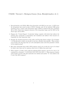 CS4030: Tutorial 1- Biological Issues (from Bioinformatics ch 1)