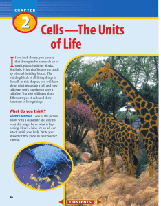 Chapter 2: Cells - The Units of Life