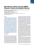 Glia-Derived D-Serine Controls NMDA Receptor Activity and