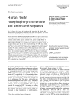 Human dentin phosphophoryn nucleotide and amino acid sequence