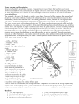 Flower Structure and Reproduction Flowers are the plant`s