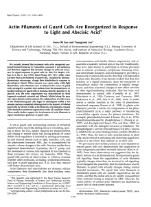 to Light and Abscisic Acid