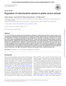 Regulation of mitochondrial calcium in plants versus animals