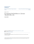 Investigating Drift Mobilities in Cadmium Telluride Solar Cells