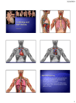 Dynamic Cardiology