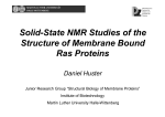 Solid-State NMR Studies of the Structure of Membrane Bound Ras