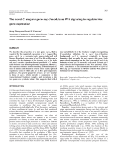 Hox gene regulation by C. elegans sop-3