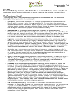 Neurotransmitter Test Assessment