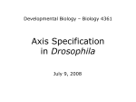 9. Axis Specification in Drosophila