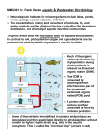 Trophic levels and the microbial loop in aquatic ecosystems