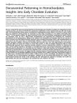 Dorsoventral Patterning in Hemichordates