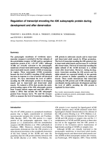 Regulation of transcript encoding the 43K