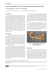 Acute myocardial injury after scorpion