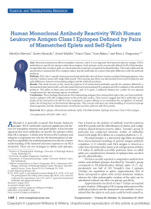 Human Monoclonal Antibody Reactivity With