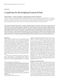 A Lipid Gate for the Peripheral Control of Pain