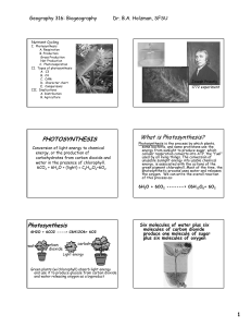 PHOTOSYNTHESIS What is Photosynthesis? Photosynthesis