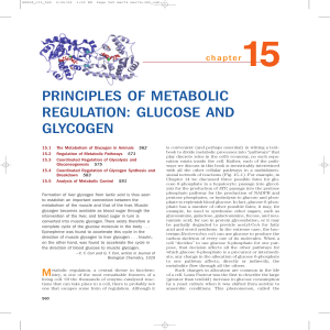 principles of metabolic regulation: glucose and glycogen