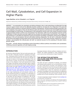 Cell Wall, Cytoskeleton, and Cell Expansion in Higher Plants