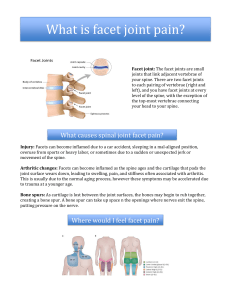 What is facet joint pain?