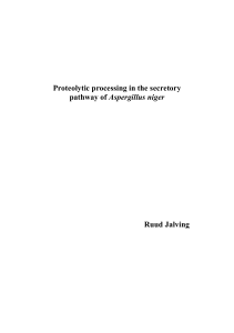 Proteolytic processing in the secretory pathway of Aspergillus niger