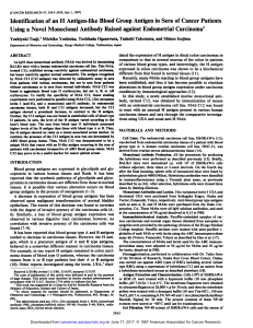 Identification of an H Antigen-like Blood Group