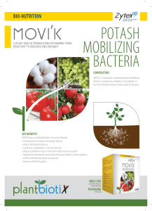 Product sheet MOVI`K - English