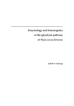 Enzymology and bioenergetics of the glycolytic pathway of